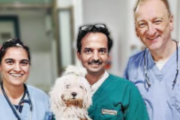 German vet flies to Mumbai to help with dog’s open heart surgery | India News