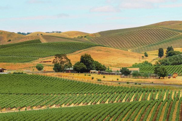 11 Best Things To Do In Napa Valley, California – Hand Luggage Only